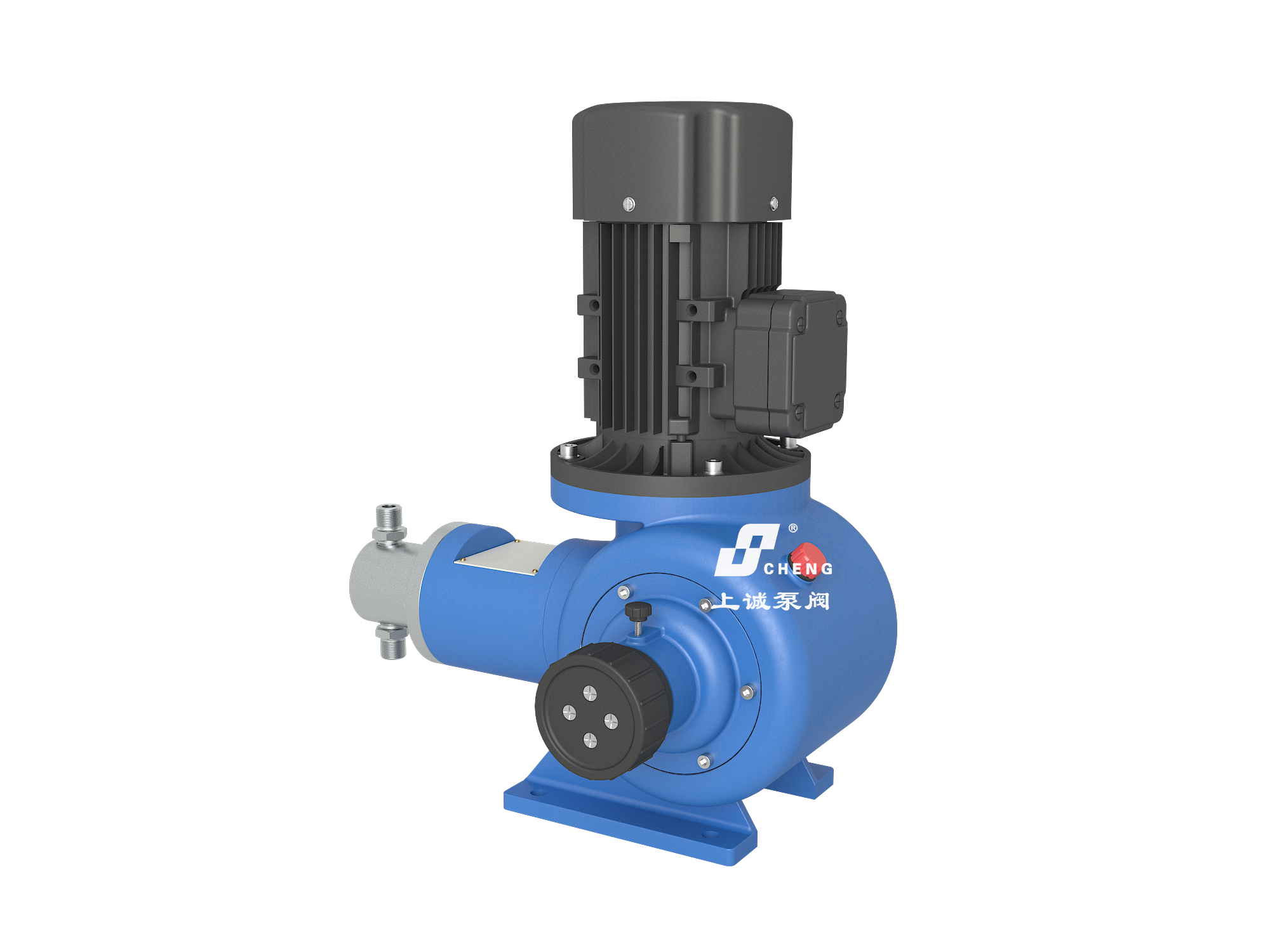 ZR Plunger Metering Pump view 2